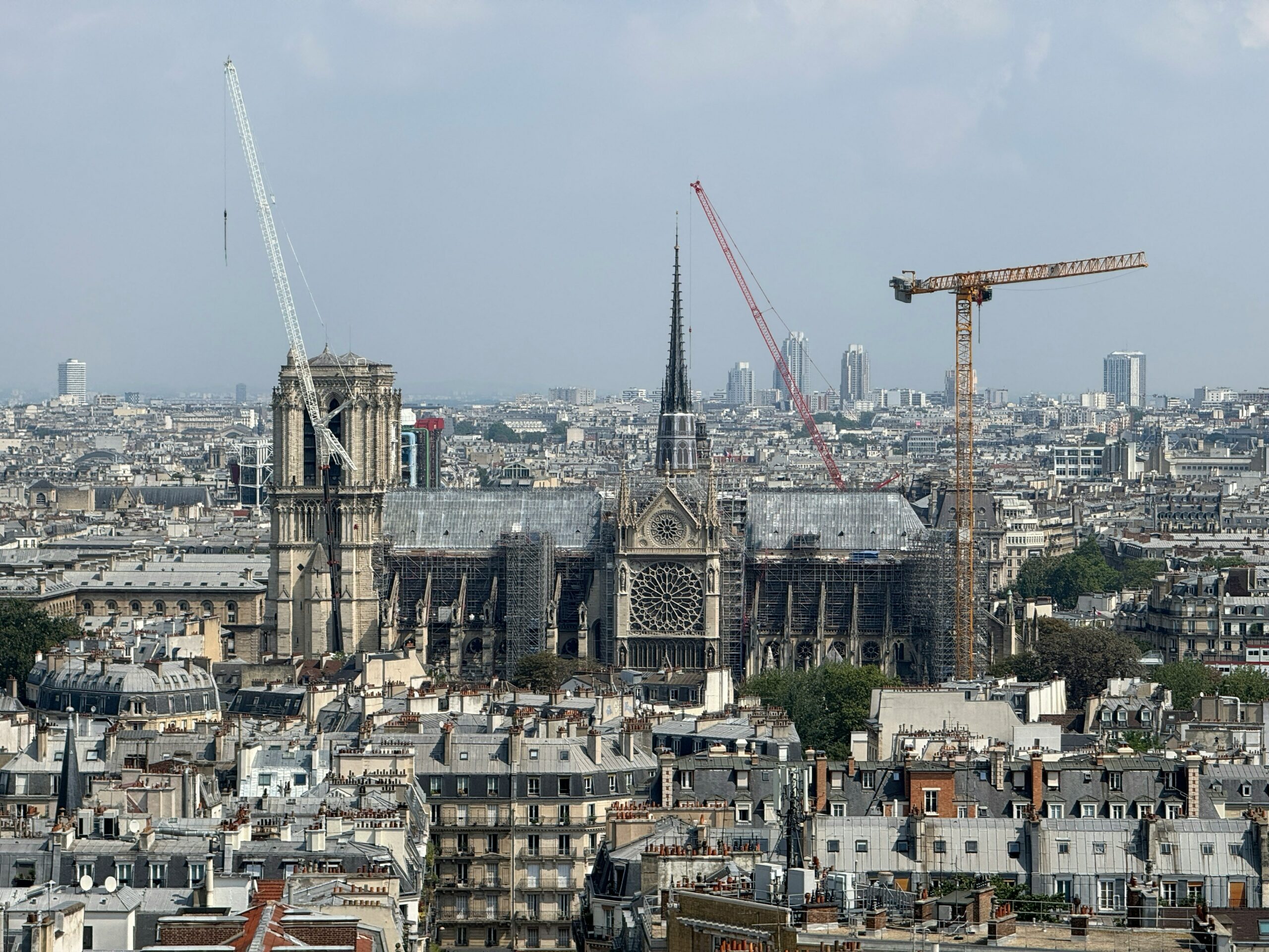 Notre Dame under renovations - Qi Li / Unsplash